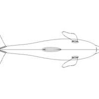 3D Art Surface Pink Dolphin - Thumbnail 9