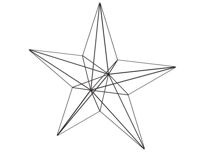 Wireframe Shape Geometric Star 3D Print 545056