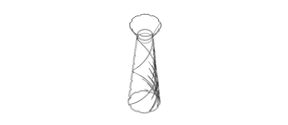 Spiral Complex Vase 3D Print 545078