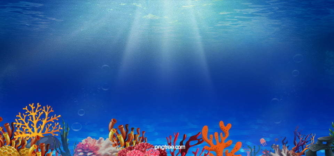 Image 545558