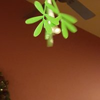 Botanically Correct Mistletoe - Thumbnail 2