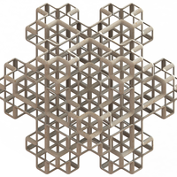 Wireframe Shape Mosely Snowflake - Thumbnail 1