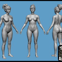 Small Realistic Heroic Female Basemesh 3D Printing 546403