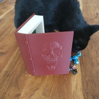 Skull Book for dice or candy - Snap close, no magnets needed - Thumbnail 7