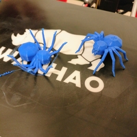 Torture Spider - 3D-printer torture test - Thumbnail 2