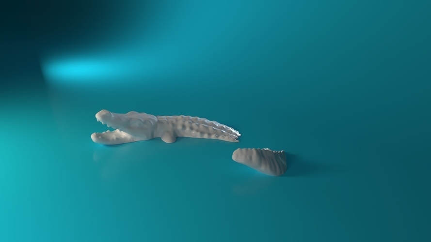 Swimming Crocodile  3D Print 548839