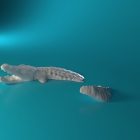 Swimming Crocodile  - Thumbnail 3