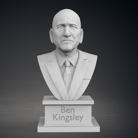 Ben Kinsgley Bust - Thumbnail 2