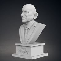 Ben Kinsgley Bust - Thumbnail 3