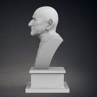 Ben Kinsgley Bust - Thumbnail 4
