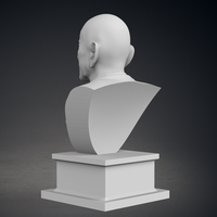 Ben Kinsgley Bust - Thumbnail 5