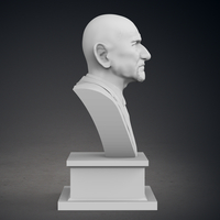Ben Kinsgley Bust - Thumbnail 8