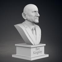 Ben Kinsgley Bust - Thumbnail 9