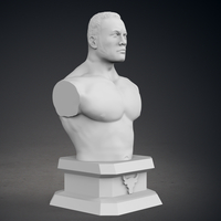 The Rock Bust - Classic Version - Thumbnail 9