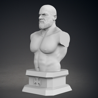 Triple H Bust - Current Version - Thumbnail 3