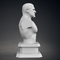 Triple H Bust - Classic Version - Thumbnail 8