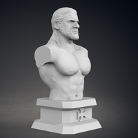 Triple H Bust - Classic Version - Thumbnail 9