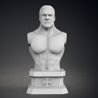 Triple H Bust - Classic Version - Thumbnail 10
