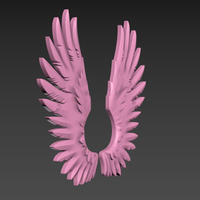 Wings Relief - Thumbnail 1