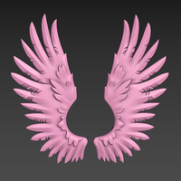 Wings Relief - Thumbnail 2