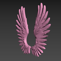 Wings Relief - Thumbnail 3