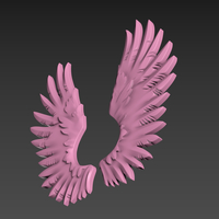 Wings Relief - Thumbnail 4