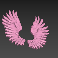 Wings Relief - Thumbnail 5