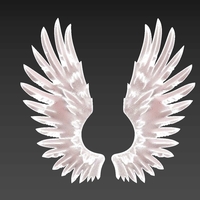Wings Relief - Thumbnail 7