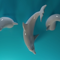 Swimming Dolphins - Thumbnail 5
