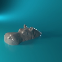 Swimming Rhino - Thumbnail 3