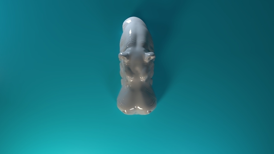 Swimming Rhino 3D Print 551784