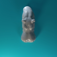 Swimming Rhino - Thumbnail 5