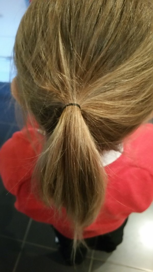 Ponytail express