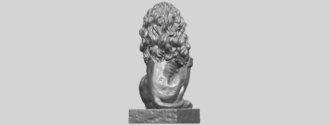 Lion (i) 3D Print 552338