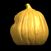 Pumpkin face - Thumbnail 4
