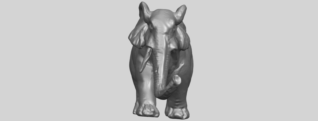 Elephant (i) 3D Print 553093