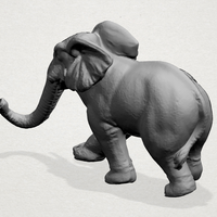 Elephant (i) - Thumbnail 12