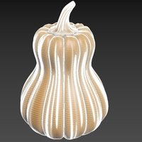 Pumpkin Vegetable2 - Thumbnail 8