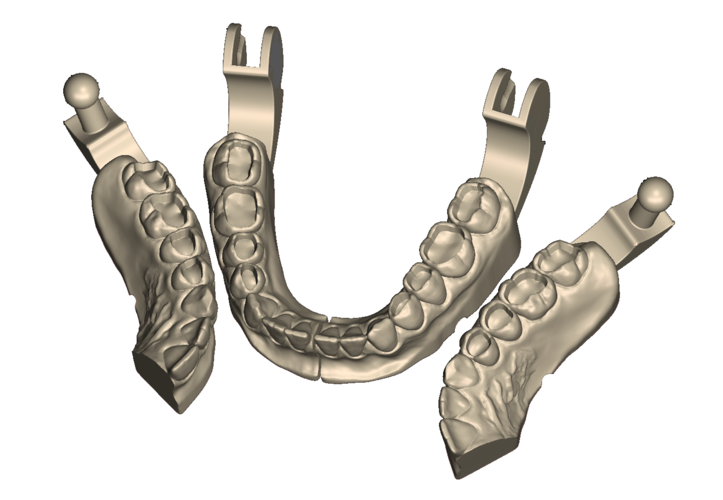 	Dental Practice Model Kit 3D Print 554523