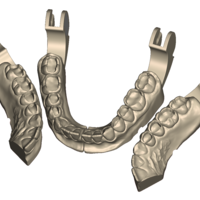 Small 	Dental Practice Model Kit 3D Printing 554523