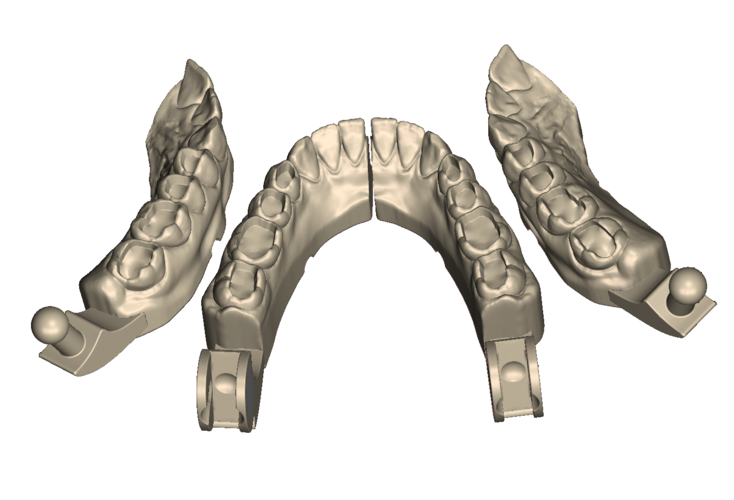 	Dental Practice Model Kit 3D Print 554524