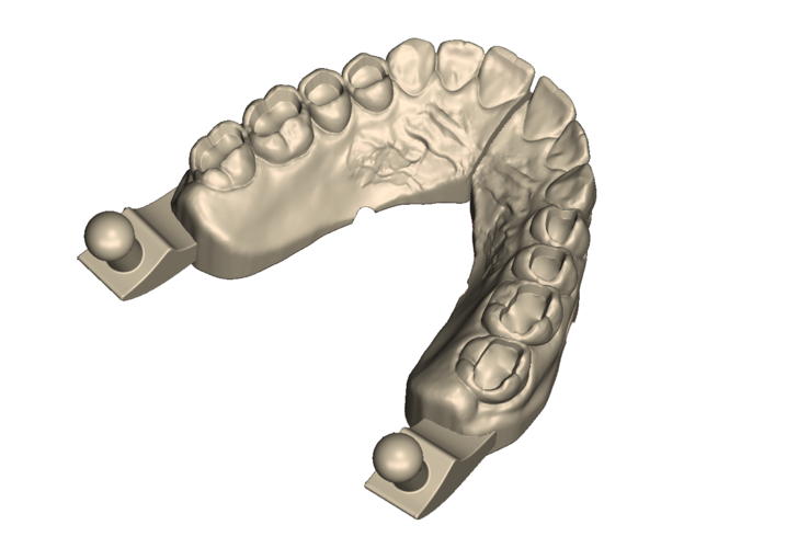 	Dental Practice Model Kit 3D Print 554529