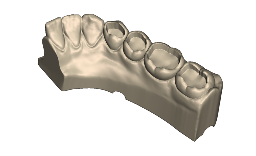 	Dental Practice Model Kit 3D Print 554536