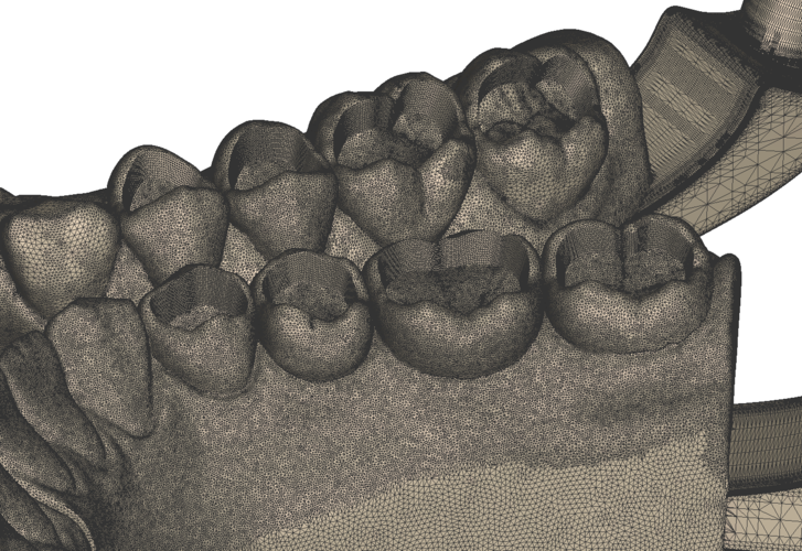 	Dental Practice Model Kit 3D Print 554541