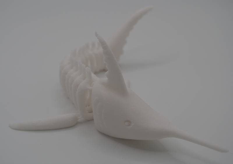 Articulated Swordfish / Marlin fish Skeleton 3d Print Printable 