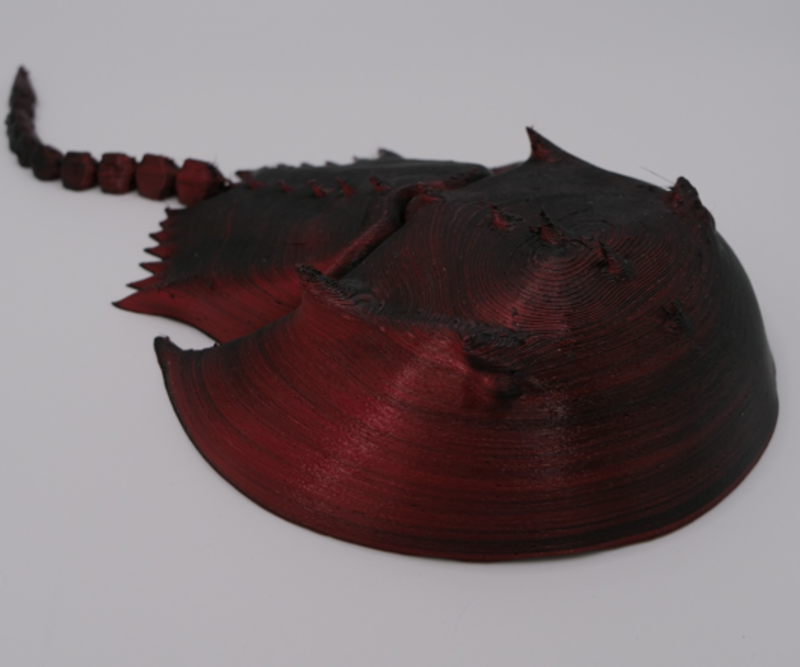 Articulated Horseshoe Crab 3d Print Printable Stl File Flex