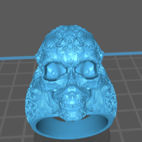skull ring - Thumbnail 3