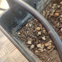 SUPPORT FOR 6MM TUBE IN STANDARD CROP POT - Thumbnail 4