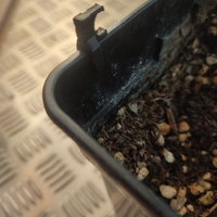 SUPPORT FOR 6MM TUBE IN STANDARD CROP POT - Thumbnail 2