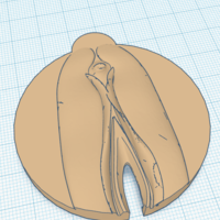 Special Can Lid *WINK* - Thumbnail 3